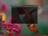 Besgnulinux 4-0, basé sur Debian, est maintenant disponible
