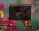 Besgnulinux 4-0, basé sur Debian, est maintenant disponible