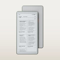 Le Viwoods AiPaper Reader est doté d&#039;un compagnon IA qui répond aux questions sur le contenu des livres électroniques. (Source de l&#039;image : Viwoods)