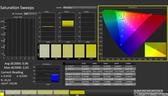 CalMAN : saturation des couleurs (calibrée)