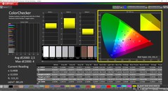 CalMAN ColorChecker (mode : vif, espace colorimétrique cible : P3)