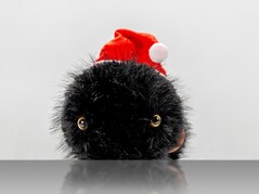 Plüsch (Source de l'image : ZKM Karlsruhe)