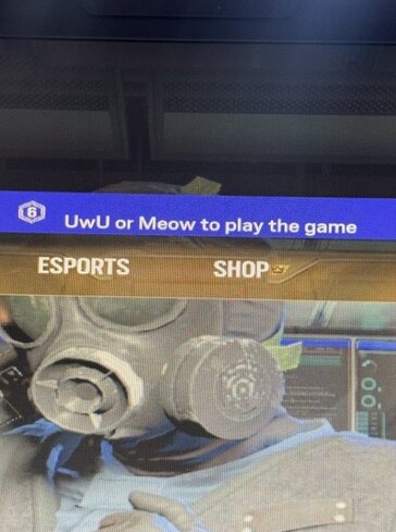 Des pirates rédigent des messages personnalisés dans Rainbow Six Siege. (Source de l'image : Pirat_Nation)