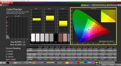 CalMAN ColorChecker (profil : sRGB, espace couleur cible : sRGB)