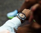 Le Garmin Connect IQ Store retarde actuellement les mises à jour des applications de plusieurs jours.