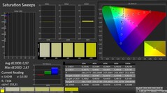 CalMAN : Saturation (calibrée)