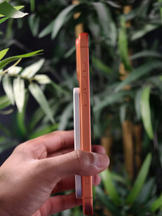 (Source de l'image : Ramal Media)