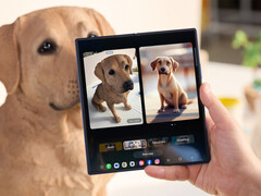 Les versions stables de One UI 8 ne sont actuellement disponibles que sur les derniers appareils pliables de Samsung, Galaxy Z Fold7 illustré. (Source de l'image : Samsung)