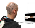 Des chercheurs mettent au point une méthode d'impression en 3D de tatouages EEG sur la tête pour la commande à distance d'appareils électroniques. (Source de l'image : Vasconcelos et al. dans Cell Biomaterials)