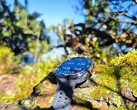 Test : Samsung Galaxy Watch Ultra2