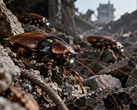 De véritables insectes cyborgs pourraient jouer un rôle important dans les futures missions de recherche et de sauvetage.