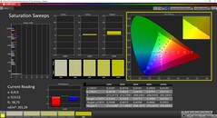 CalMan ColorChecker - Saturation