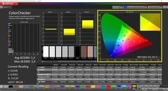 CalMAN ColorChecker (profil : sRGB, espace couleur cible : sRGB)
