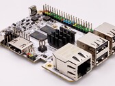 Patate douce Libre Computer (Source : Libre Computer)