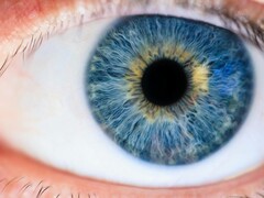 En stimulant le cône M à l'aide d'une lumière laser, des chercheurs ont réussi à rendre visible la couleur 