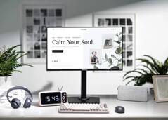 Le dernier moniteur de Hannspree utilise un écran LCD transflectif. (Source de l'image : HANNspree)