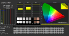 CalMAN - vérificateur de couleurs (calibré)