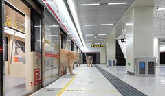 Un chat descendant du train (Source de l'image : Xing's World via YouTube ; capture d'écran)