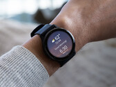 Garmin n'a pas encore indiqué quand les mises à jour de la v11 atteindront le statut stable. (Source de l'image : Garmin)
