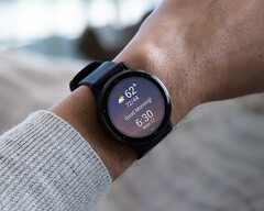 Garmin n'a pas encore indiqué quand les mises à jour de la v11 atteindront le statut stable. (Source de l'image : Garmin)