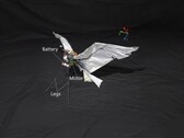 Une image de RoboFalcon2.0 (Source de l'image : chercheurs ; édité)