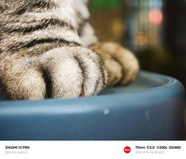 (Image source : Xiaomi)