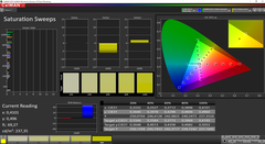 CalMAN Saturation Sweeps calibré