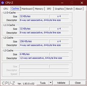 ThinkPad T490 - CPU-Z : caches.