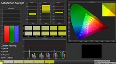 Acer Nitro 5 - CalMAN : Saturation (après calibrage).