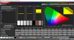 Apple MacBook Pro 15 2018 - CalMAN ColorChecker après calibrage (espace colorimétrique cible P3).