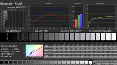 CalMAN : Niveaux de gris