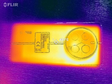 Carte thermique du dos