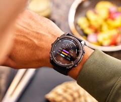 Garmin Connect+ s'enrichit d'une fonction d'enregistrement des données nutritionnelles. (Source de l'image : Garmin)