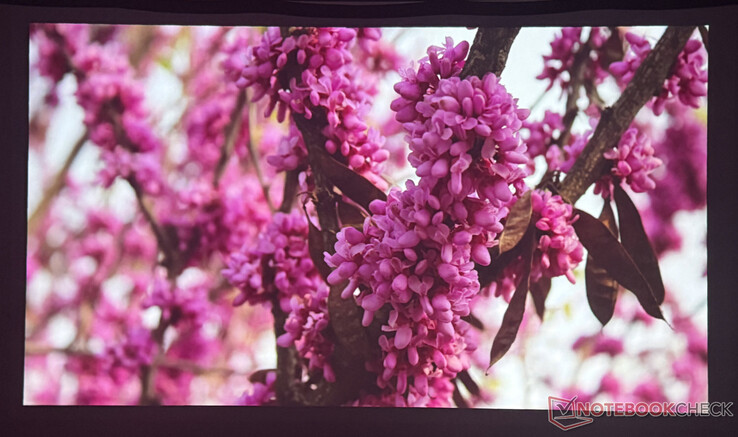 Qualité de l'image Nébuleuse P1 dans une pièce sombre (Source de l'image : Pexels)