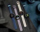 Le Garmin Vivoactive 5 peut désormais recevoir la version 8.27 de la mise à jour de la bêta publique (Image source : Garmin)