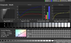 CalMAN Niveaux de gris