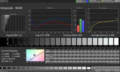CalMAN : Niveaux de gris