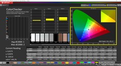 Calman ColorChecker (Profil : sRGB, Espace couleur cible : sRGB)
