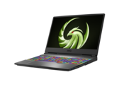 La nouvelle gamme Alpha comprend des modèles de 17 pouces avec des écrans IPS FHD de 144 Hz. (Source de l'image : MSI)