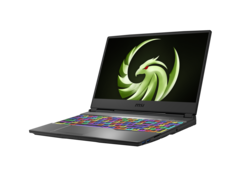 La nouvelle gamme Alpha comprend des modèles de 17 pouces avec des écrans IPS FHD de 144 Hz. (Source de l'image : MSI)