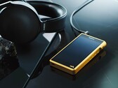 Le Walkman NW-WM1ZM2 coûte plus du double de sa sœur non dorée. (Image source : Sony)