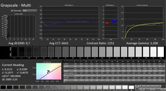 CalMAN : Niveaux de gris (calibrés)