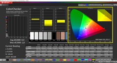 CalMAN ColorChecker (profil : P3, espace colorimétrique cible : P3)