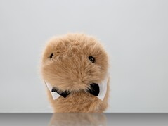 Dieter (Source de l'image : ZKM Karlsruhe)