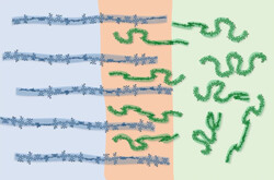 Le principe de base de la cellule solaire organique est le même. (Image : Nature Communications 1212-2024)