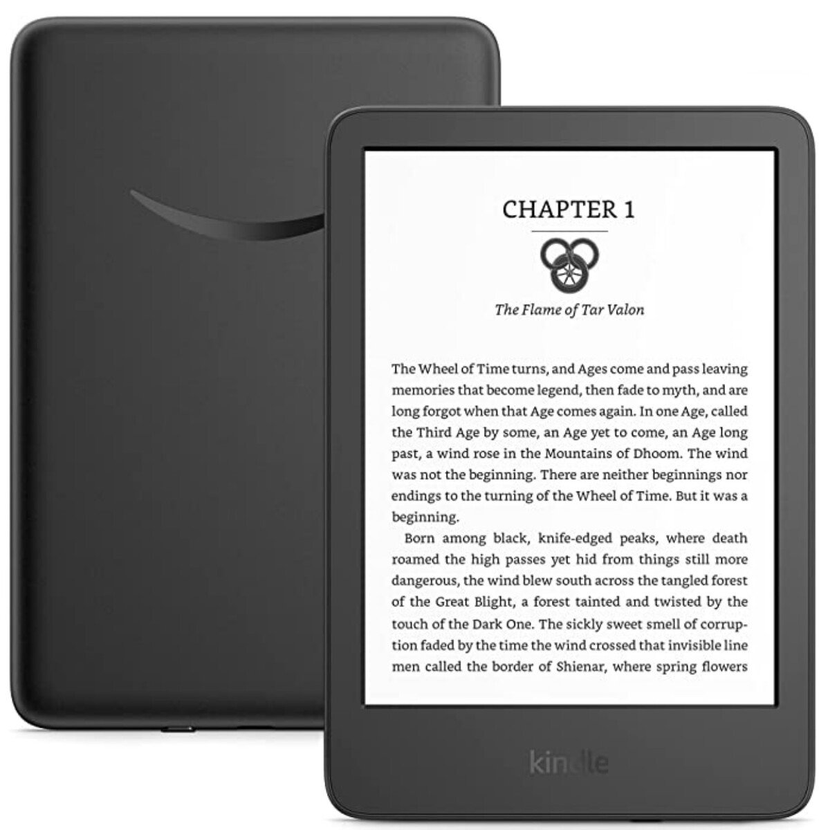 Housse Kindle Paperwhite 5 (2021) Oiseau sur sa Branche - Dealy