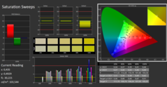 CalMan ColorChecker : Saturation