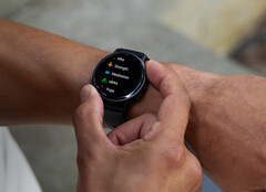 La version 11.16 du logiciel est une mise à jour bêta publique. (Source de l'image : Garmin)