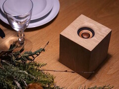 L'enceinte sans fil JVCKenwood WDS-01 utilise du bois pour le boîtier et le haut-parleur. (Source de l'image : JVCKenwood)