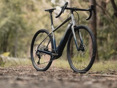 Le Lombard E de Marin Bikes est équipé d&#039;un moteur Bosch SX Spring (Image source : Marin Bikes)